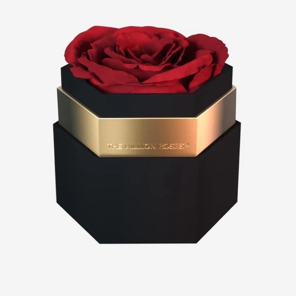The Million Roses single red rose